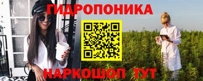 амф Новозыбков