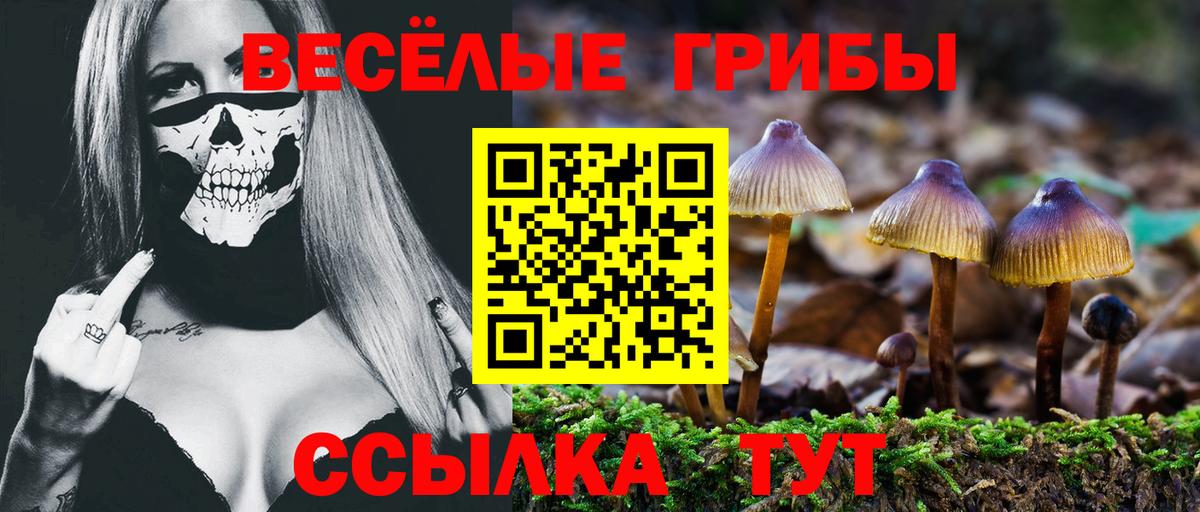 Псилоцибиновые грибы прущие грибы Рыбинск
